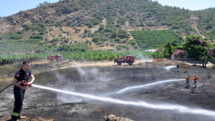 Gazipaşada çalılık yangını