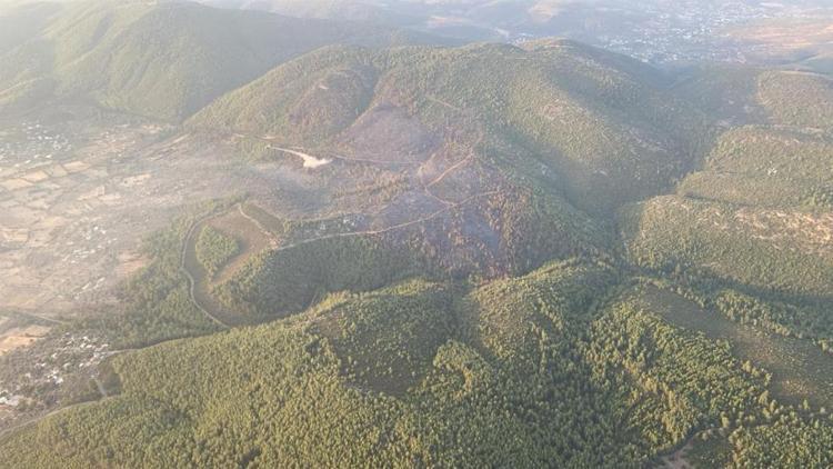 Bodrumdaki orman yangını kontrol altına alındı