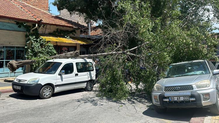 Kütahya’da ağaç 2 aracın üzerine devrildi