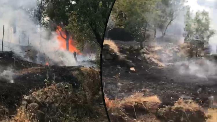 Elazığ’da anız yangınında 100 dönüm arazi kül oldu