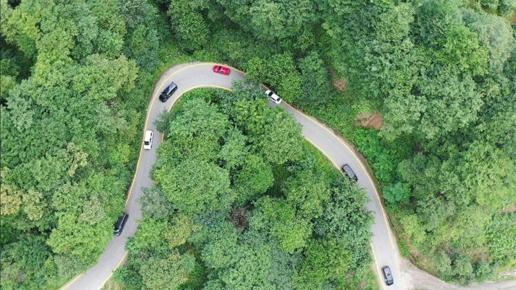 Yayla yolunda sis riskine sarı çizgili önlem