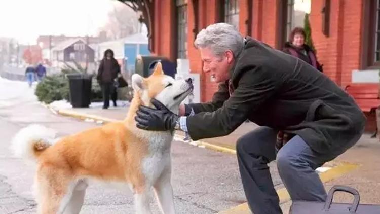 Hachiko: Bir Köpeğin Hikayesi filmi gerçek mi Hachiko: Bir Köpeğin Hikayesi filminin konusu nedir, oyuncuları kimler