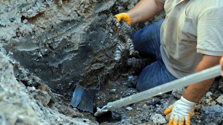 Edirnede drenaj kanalında mahsur kalan yavru kedi, yol kazılarak kurtarıldı