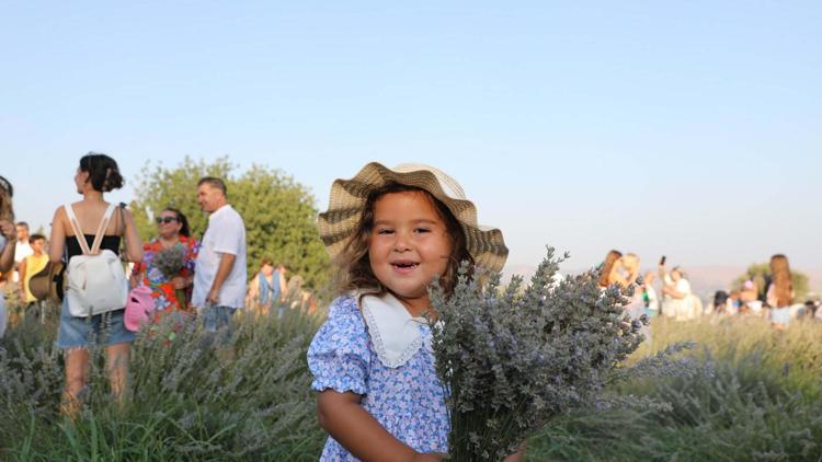 Seferihisarda mis kokulu festival