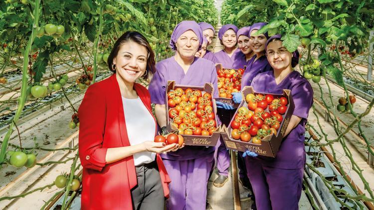 Teknolojik serada hedef 10 bin dönüm