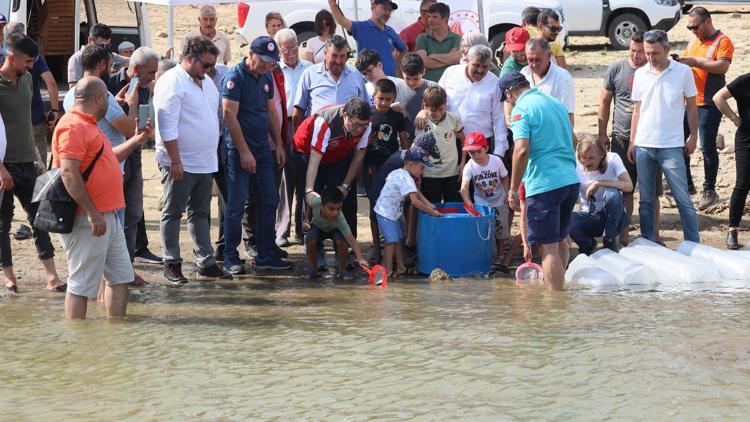 Geyik Barajına 100 bin yavru balık bırakıldı