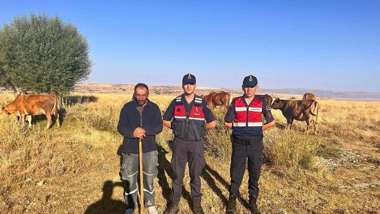 Kayseride kaybolan 10 büyükbaş hayvan, sahibine teslim edildi