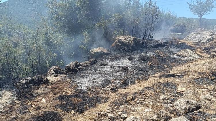 Hatay’da 3 hektar orman yandı