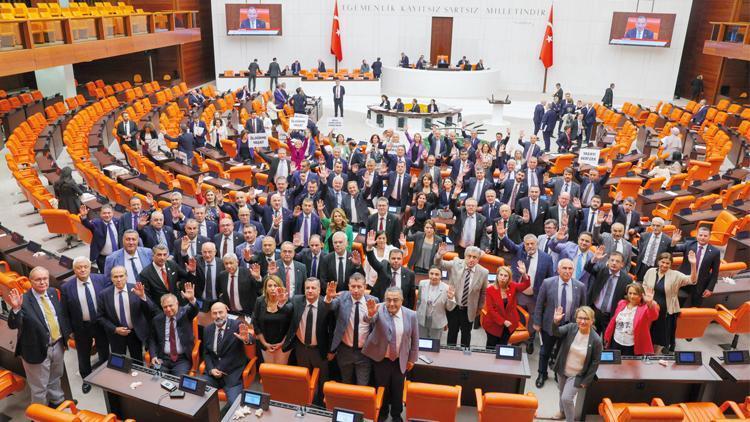 Sokak hayvanları düzenlemesi... Durumu rakamlarla anlattı