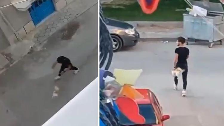 Köpeğine şiddet uygulayan şahıs gözaltına alındı