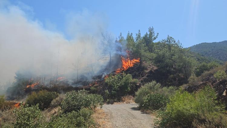 Antalya, Balıkesir ve Hatay’da orman yangını