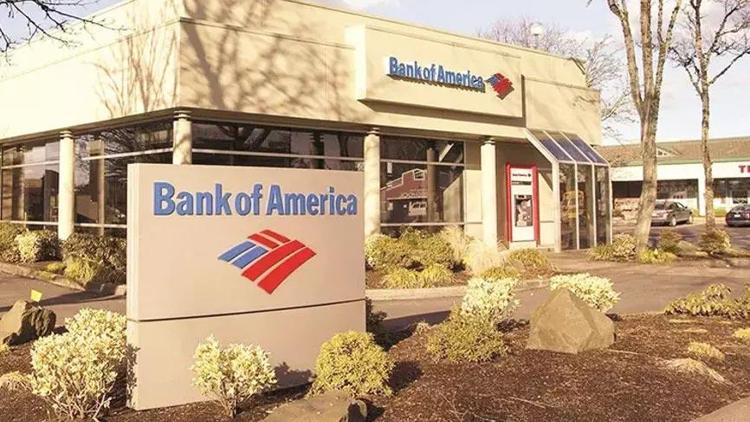 BofA: Türk ekonomisi küresel şoklara karşı dayanıklı