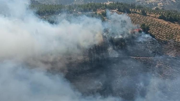 Hatay’da orman yangını Havadan ve karadan müdahale ediliyor