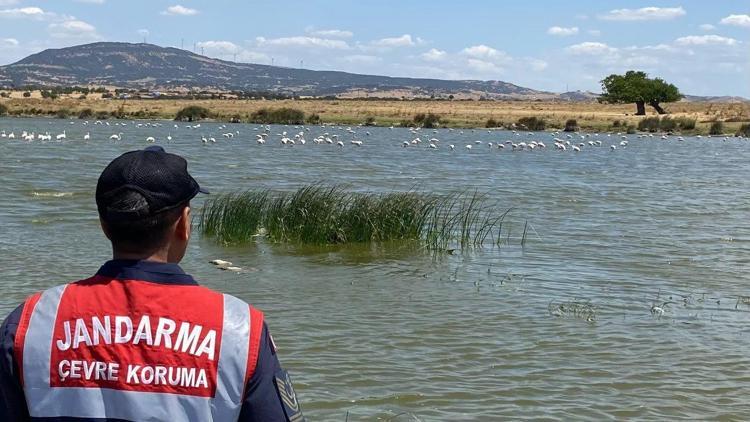 Edirne’de jandarmadan Gala Gölü Milli Parkı’nda denetim