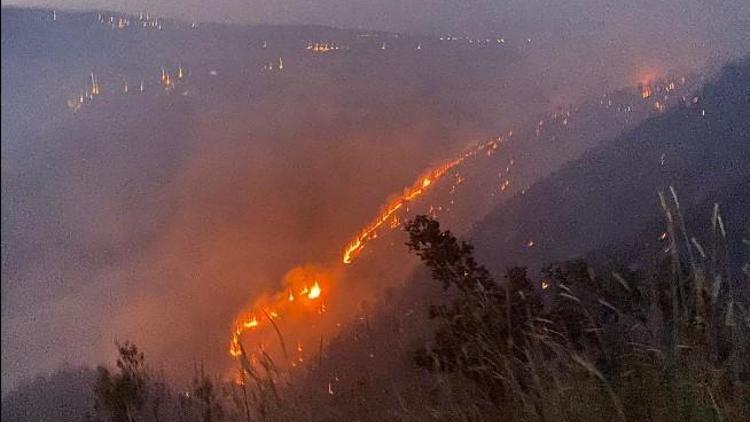 Bingölde bu yılki en büyük yangındı... 8 saatte söndürüldü