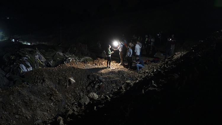 Barınak yakınında ölü hayvanlar bulunmuştu: Savcılık harekete geçti