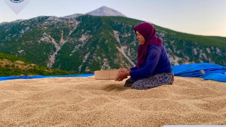 Yayladağı festivalinde fotoğraf yarışması sonuçları belli oldu