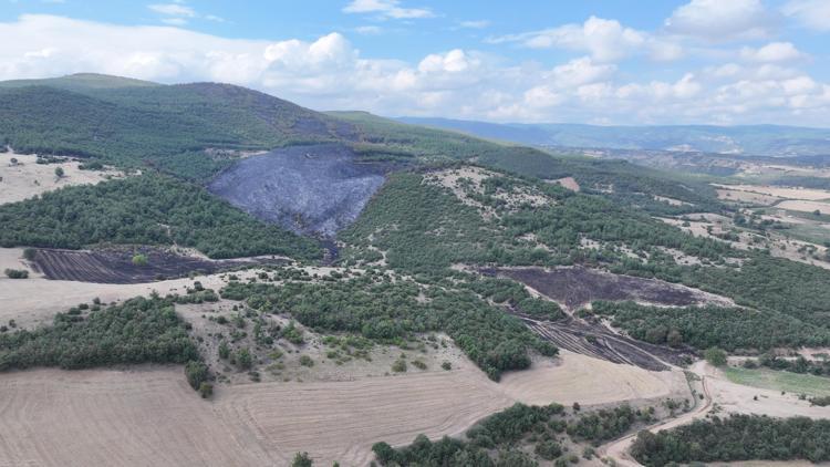 Tokattaki orman yangınında 45 hektarlık alan yandı; dronla görüntülendi