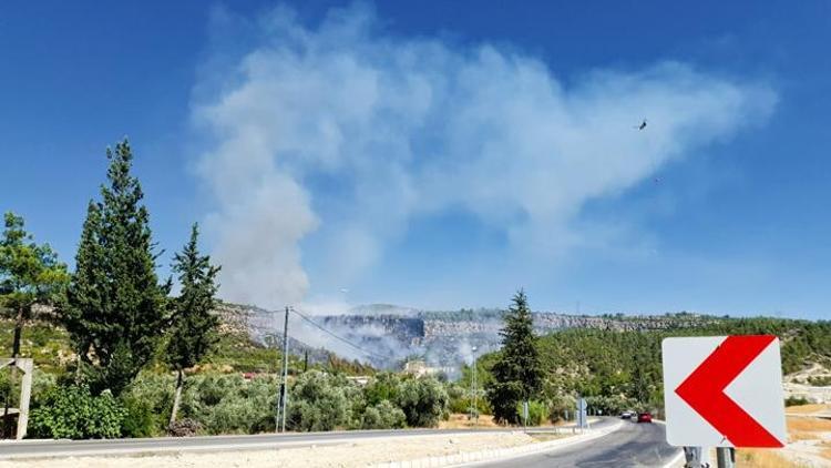 Mersin Silifkede orman yangını: Kontrol altına alındı