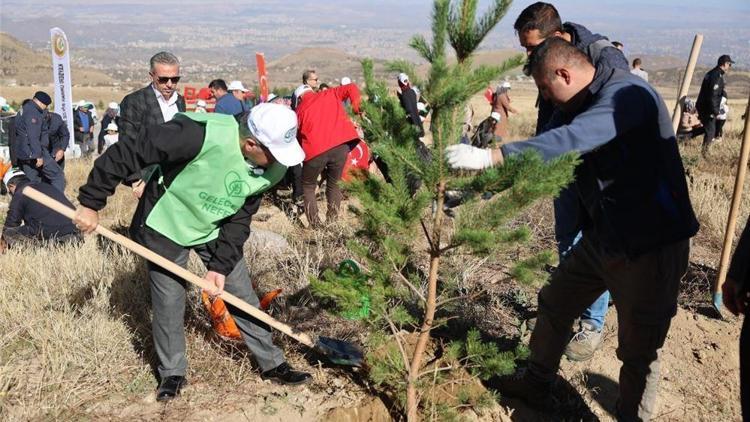 Hacılarda son 10 yılda 2 milyon ağaç dikildi