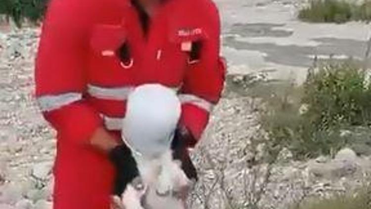 Hatay’da kafasını kovaya sıkıştıran köpeği itfaiye kurtardı