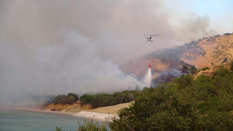 Çanakkale’de orman yangını (3)