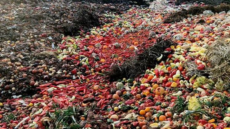 Güney Kore’de gıda atıklarının yüzde 98’i geri dönüştürülüyor… Bu yöntem dünya genelinde uygulanabilir mi Güney Kore bizlere neler öğretebilir