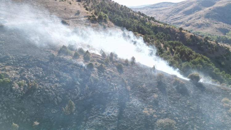 Sivastaki orman yangını 2 saatte söndürüldü