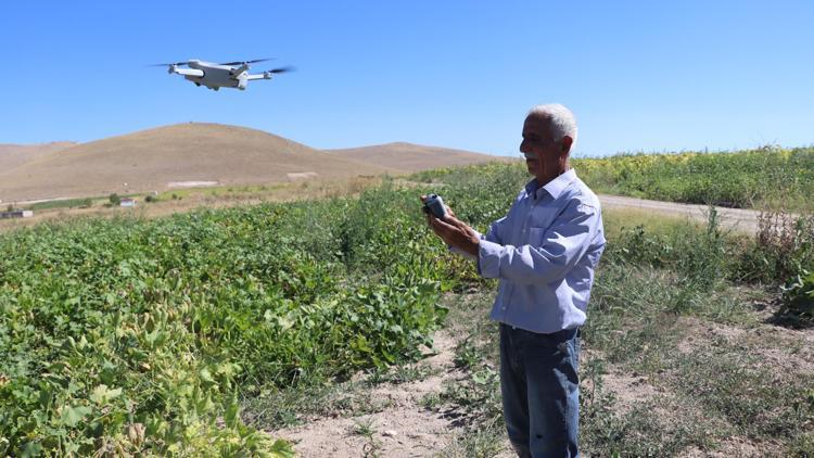 Tarım arazilerine zarar veren domuzlarla dronlu mücadele