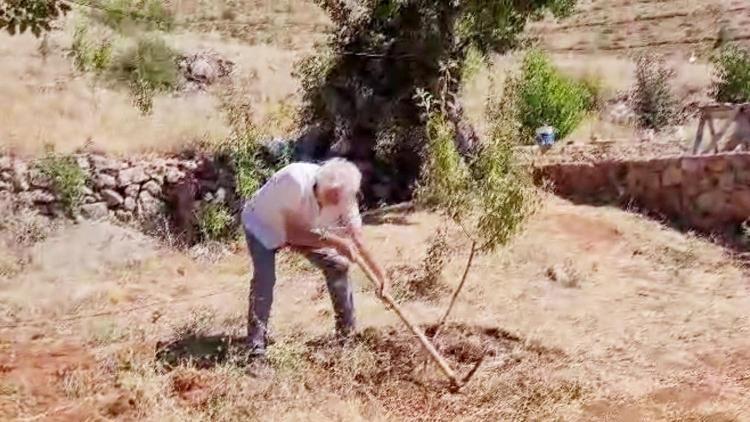 10 yılda 20 binden fazla fidan dikti