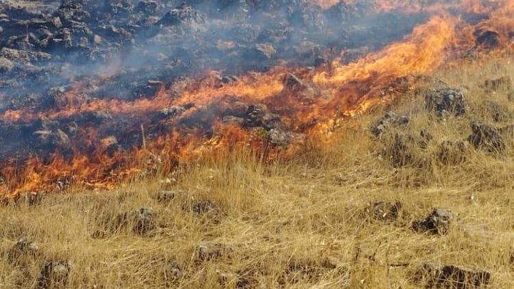 Mardin’de örtü yangını söndürüldü