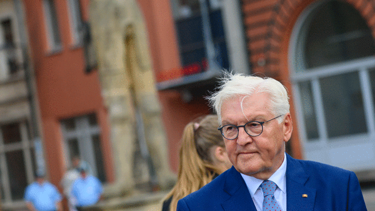 Steinmeier: Güvenlik birimlerinin yetkisi artırılmalı