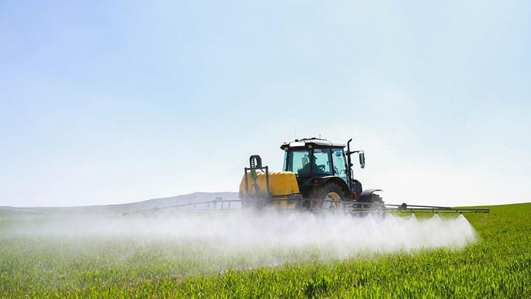 Çiftçilere bu yıl ödenecek bitkisel üretim destekleri belli oldu Çiftçilere bu yıl ödenecek bitkisel üretim destekleri belli oldu