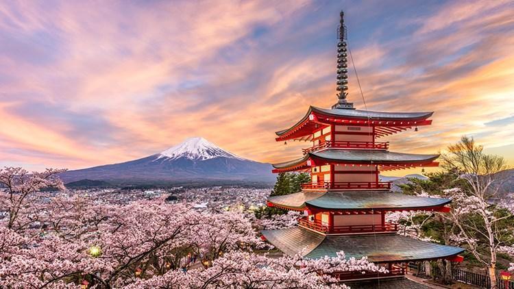 Japonyada enflasyonun hızı yavaşladı Japonyada enflasyonun hızı yavaşladı