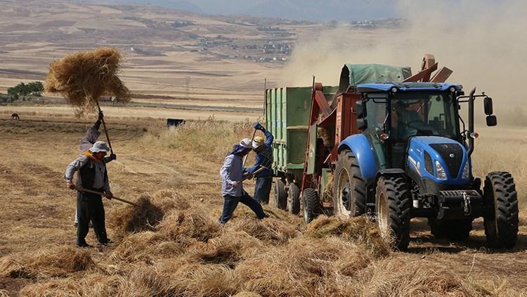 Aralık ayı tarım ÜFE verileri açıklandı