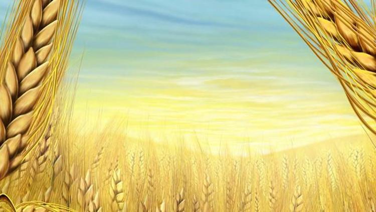 Tarımsal girdi fiyat endeksi arttı Tarımsal girdi fiyat endeksi arttı