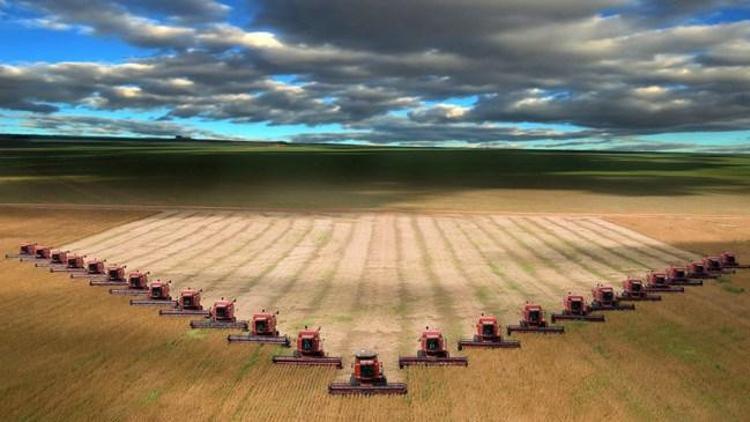 Tarım-ÜFE rakamları açıklandı Tarım-ÜFE rakamları açıklandı