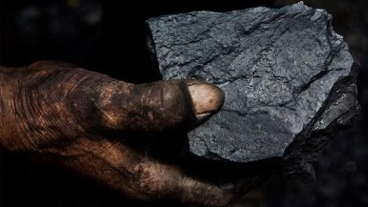 En fazla fiyatı artan kömür ücreti oldu