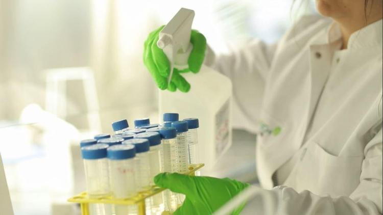 BioNTech Almanyada aşı üretimine başladı