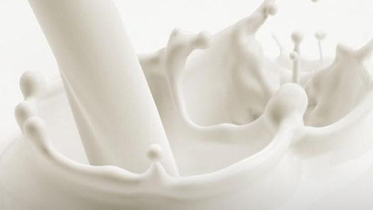 Çine süt ve süt ürünleri ihracatının önü açıldı Sektör hareketlendi