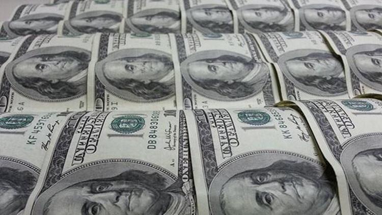 Reel efektif döviz kuru endeksi yükseldi