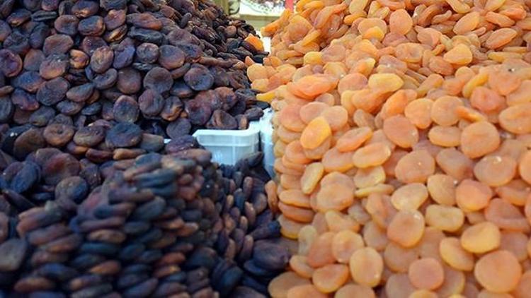Kuru meyve ihracatçısı Rusyaya odaklandı