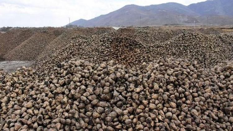 Cumhurbaşkanı Erdoğan duyurdu: Üretici sevindi