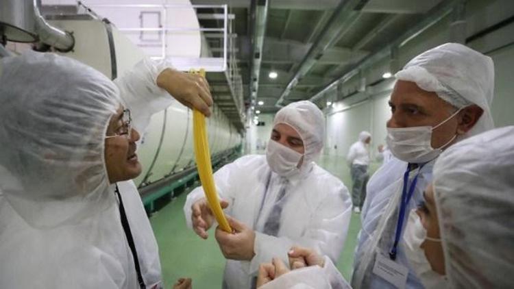 Japonyanın makarnası Türkiyeden