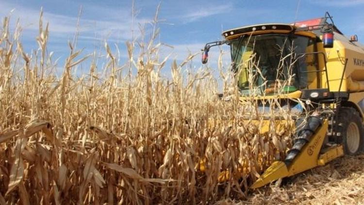 Tarım ÜFE haziranda arttı