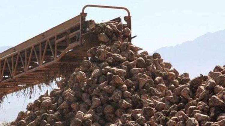 5 şeker fabrikasının satışına onay çıktı