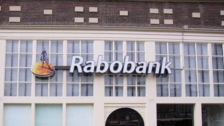 Rabobanktan dolar/TL tahmini