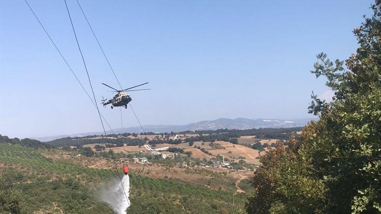 Bursada yeni orman yangını