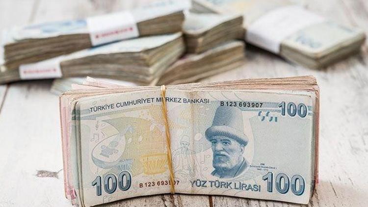 Hazine 8,2 milyar lira borçlandı
