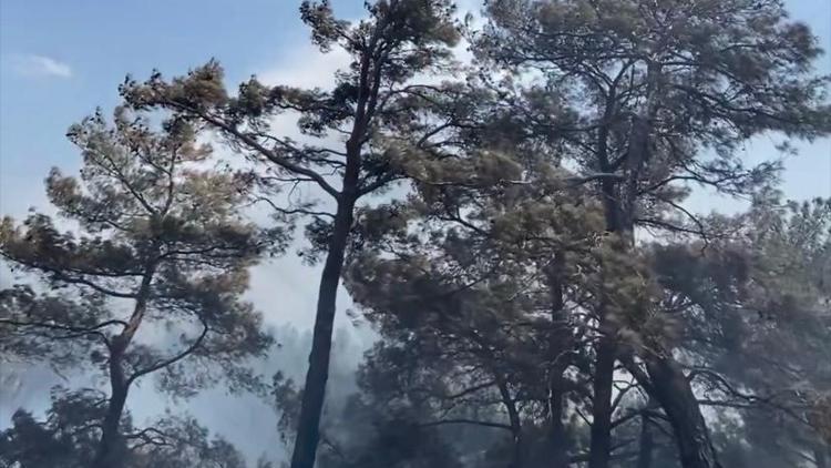 Çanakkalede ormanlık alanda çıkan yangın kontrol altına alındı